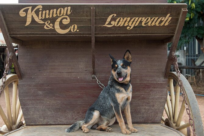 Cobb & Co Stagecoach Experience in Longreach - Practical details before you go
