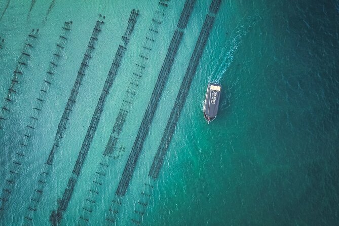 Coffin Bay Day Tour - A Taste of Coffin Bay - Key points to know before you book