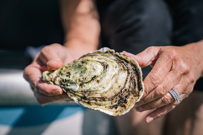 Coffin Bay Day Tour - A Taste of Coffin Bay - Who should book this Coffin Bay day tour?