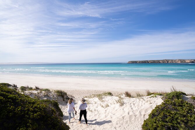 Coffin Bay Day Tour - A Taste of Coffin Bay - A seafood lunch that earns its place in the schedule