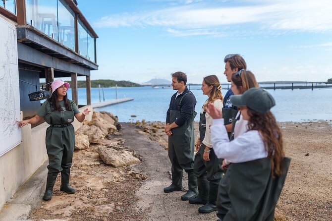 Coffin Bay Oyster Farm Wading Tour & Tasting Experience - Weather, clothing, and small practical details