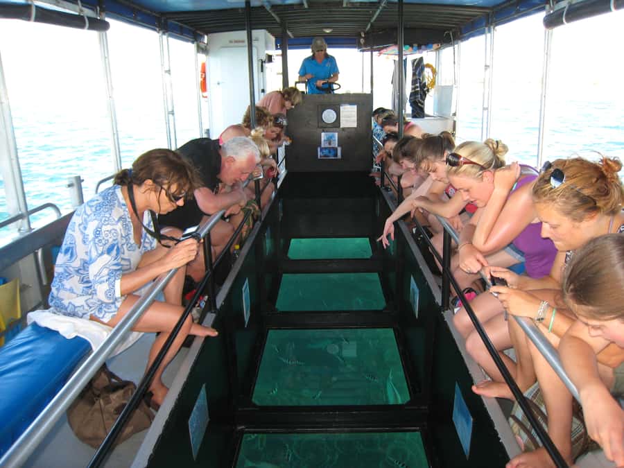 Coral Bay Glass-Bottom Boat Tour - The one-hour route over the inner reef
