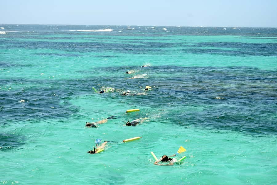 Coral Bay: Ningaloo Reef 3-Hour Turtle Ecotour - Two snorkeling stops on the Ningaloo Reef