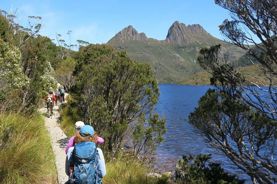 Cradle Mountain: Day Trip from Launceston with Lunch - The long road from Launceston to Cradle Mountain