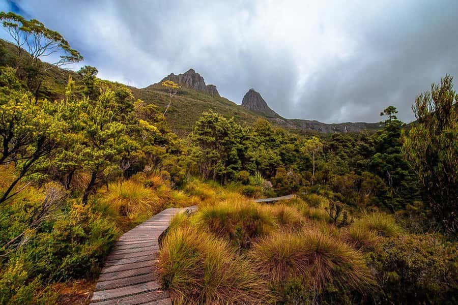 Cradle Mountain: Day Trip from Launceston with Lunch - Dove Lake, Glacier Rock, and the Boatshed