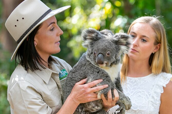 Currumbin Wildlife Sanctuary General Entry Ticket - Australian animals in natural-style settings