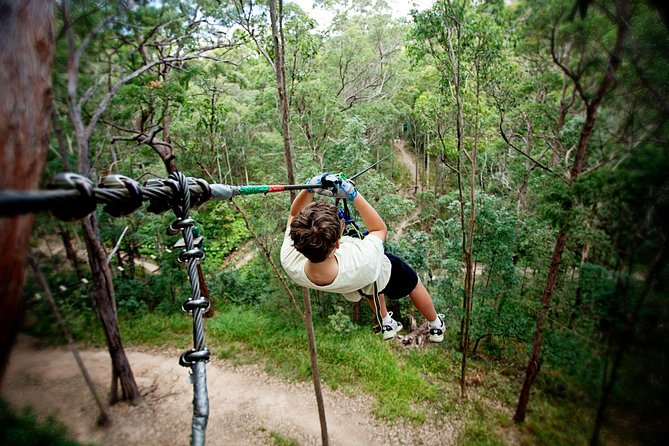 Currumbin Wildlife Sanctuary General Entry Ticket - Shows turn animal viewing into learning