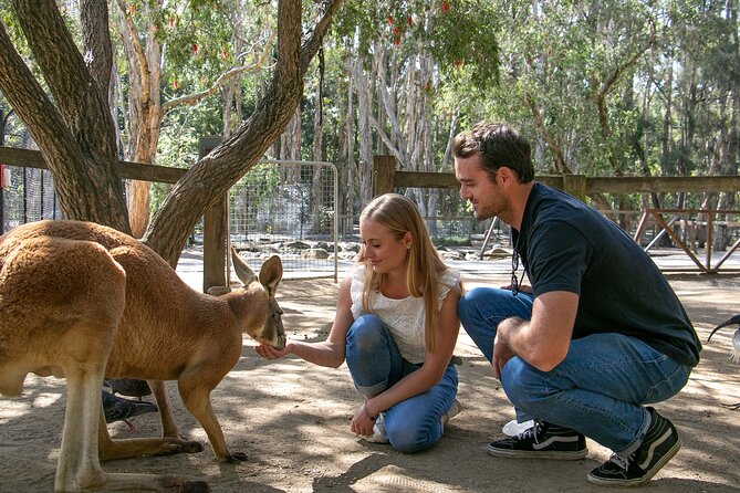 Currumbin Wildlife Sanctuary General Entry Ticket - Start with a plan, not a rush