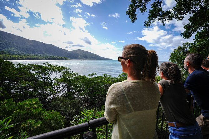 Daintree, Cape Tribulation & River Cruise from Port Douglas - Key things to know before booking
