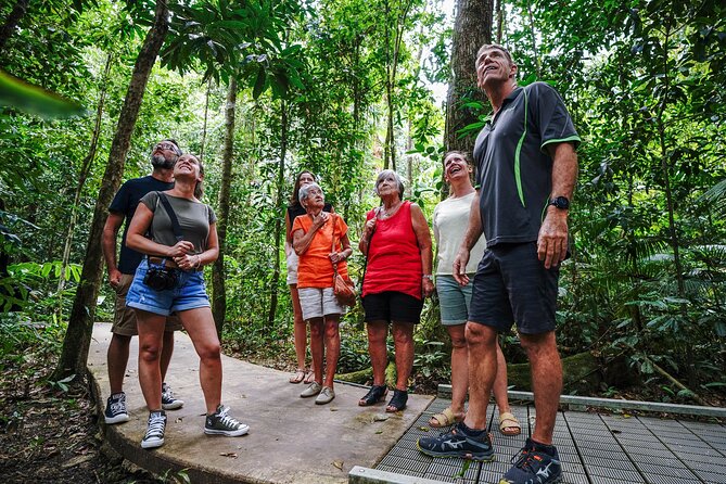 Daintree, Cape Tribulation & River Cruise from Port Douglas - Why this 10-hour Daintree route works