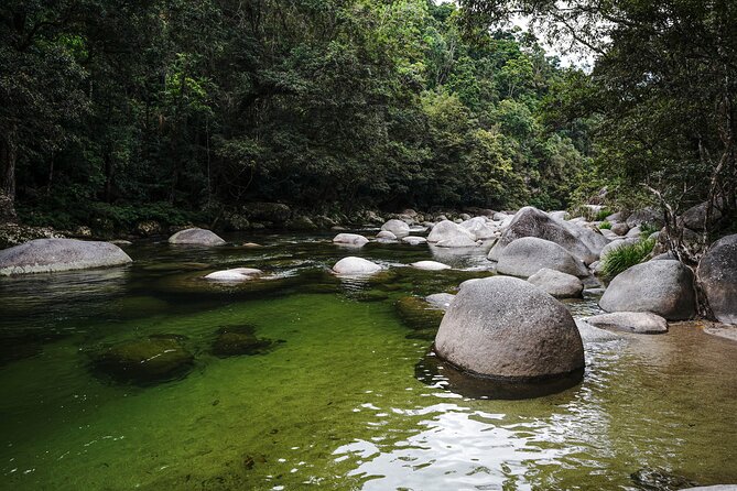 Daintree, Cape Tribulation & River Cruise from Port Douglas - Boardwalks that explain how the forest lives