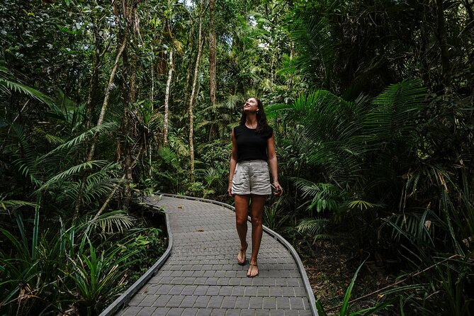 Daintree, Cape Tribulation & River Cruise from Port Douglas - Lunch at Heritage Lodge and a real creek swim