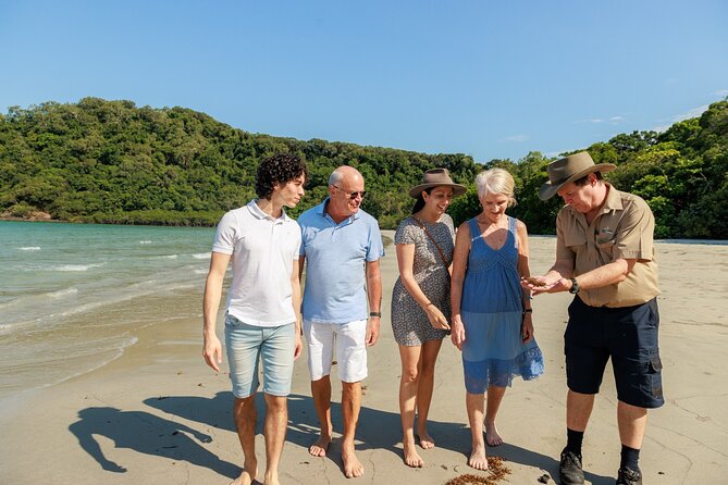 Daintree Rainforest and Cape Tribulation Day Tour from Cairns - What this Daintree day is really like