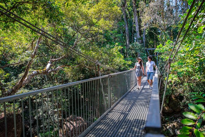 Daintree Rainforest and Cape Tribulation Day Tour from Cairns - Lunch adds comfort, but not extra rainforest time