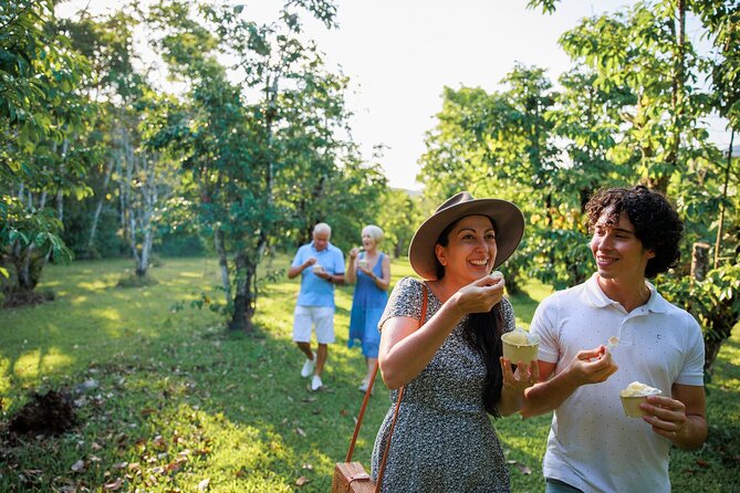 Daintree Rainforest and Cape Tribulation Day Tour from Cairns - Cape Tribulation shows where rainforest meets reef