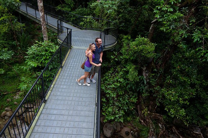 Daintree Rainforest and Cape Tribulation Day Tour from Cairns - Daintree Ice Cream Company is a small but clever stop