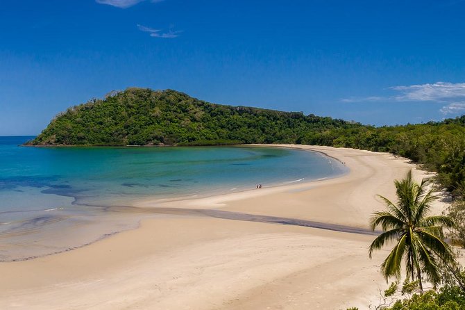Daintree Rainforest and Cape Tribulation Day Tour from Cairns - Alexandra Lookout brings the day into focus
