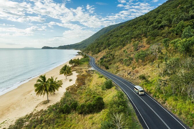 Daintree Rainforest and Cape Tribulation Full Day Tour - Why this Daintree day trip works well