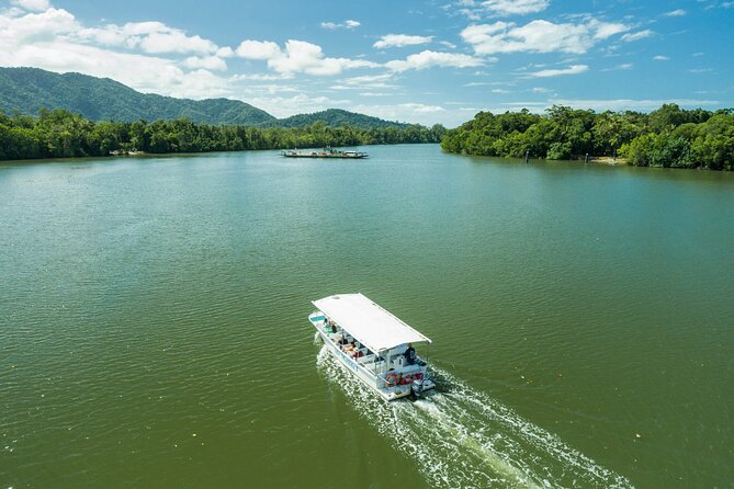 Daintree Rainforest and Cape Tribulation Full Day Tour - A cool swim in a rainforest stream