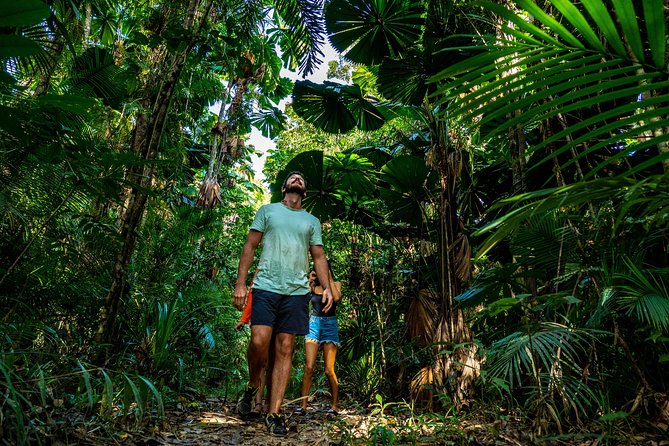 Daintree Rainforest and Mossman Gorge: Full Day Tour - Morning tea, lunch, and the ice cream question