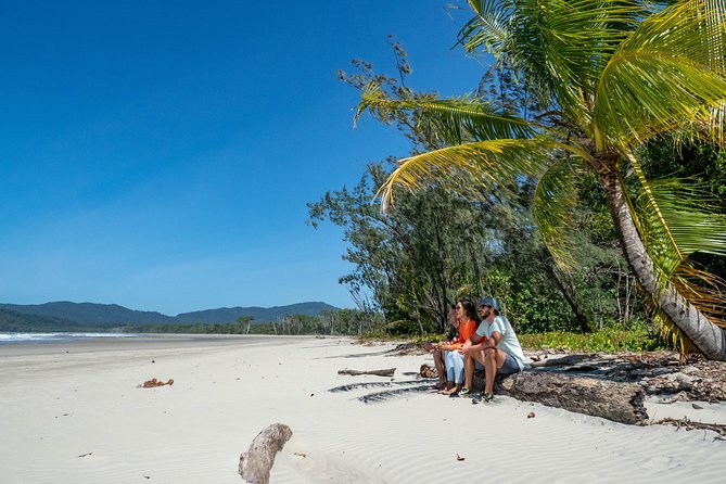 Daintree Rainforest and Mossman Gorge: Full Day Tour - Crocodiles and mangroves on the Daintree River