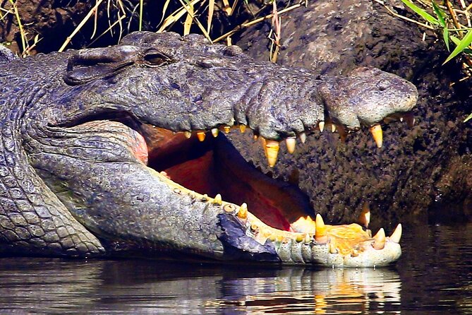 Daintree River Cruise - Getting there without confusion