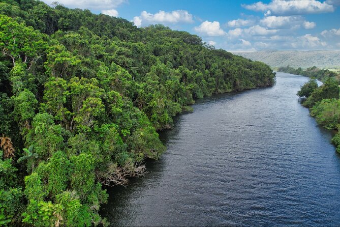 Daintree River Cruise - Group size, comfort, and family appeal