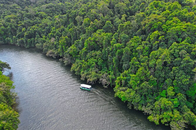 Daintree River Cruise - Crocodiles, birds, snakes, and the luck factor