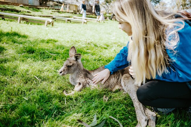 Day Tour in Mt. Field, Mt. Wellington, Bonorong Wildlife Sanctuary and Richmond - Four things to know before you book