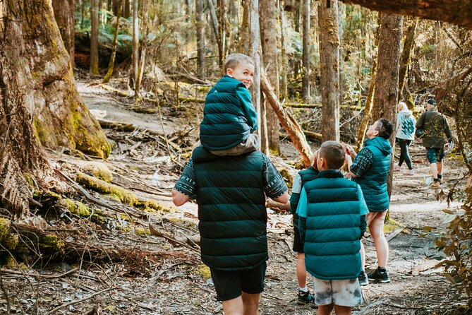 Day Tour in Mt. Field, Mt. Wellington, Bonorong Wildlife Sanctuary and Richmond - Why this Hobart day trip works