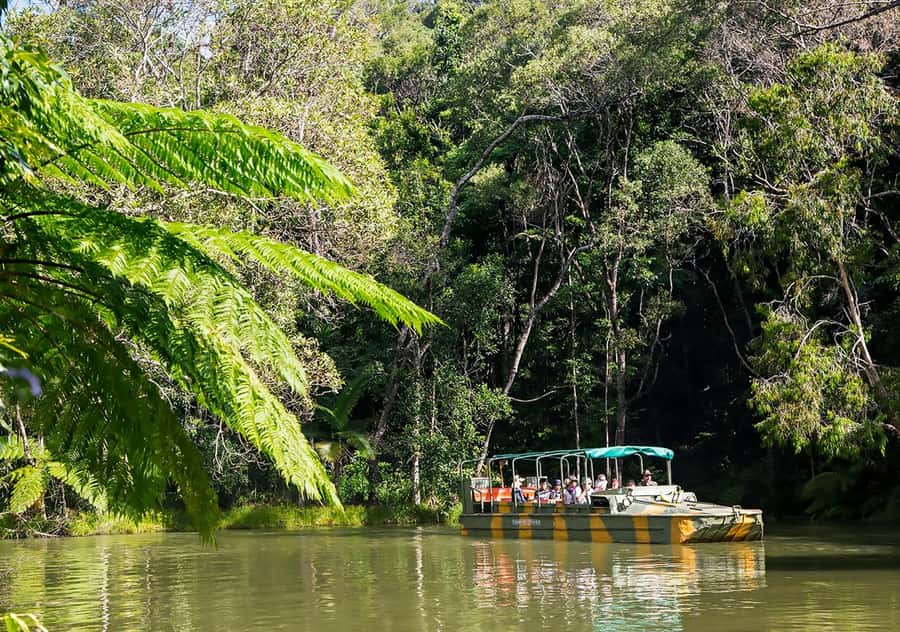 Day Trip: Rainforest & Aboriginal Culture Tour - A long Cairns day with several distinct stops