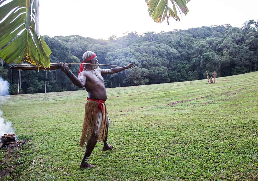 Day Trip: Rainforest & Aboriginal Culture Tour - Native animals at the Koala and Wildlife Park