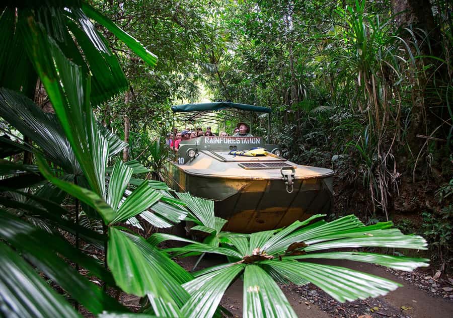 Day Trip: Rainforest & Aboriginal Culture Tour - What the $84 price really covers