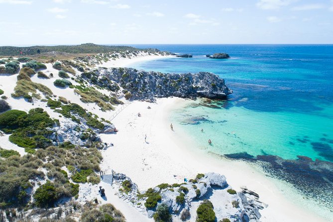 Discover Rottnest with Ferry & Bus Tour - Why This Ferry and Coach Combination Works