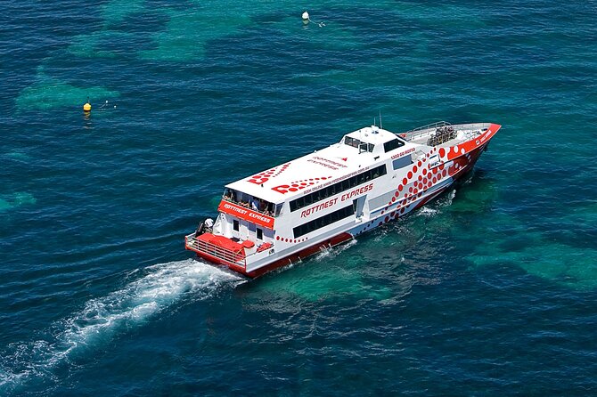 Discover Rottnest with Ferry & Bus Tour - Your Free Afternoon at Thompson Bay
