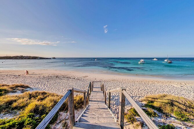 Discover Rottnest with Ferry & Bus Tour - Is the Lunch Upgrade Worth It?