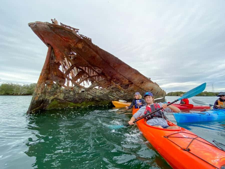 Dolphin Sanctuary and Ships Graveyard Kayak Tour - Why the Port River makes an unusual kayaking trip