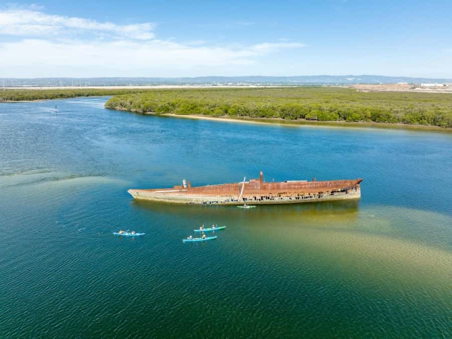Dolphin Sanctuary and Ships Graveyard Kayak Tour - Starting at Garden Island Boat Ramp
