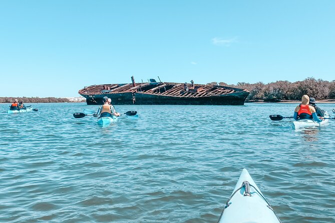 Dolphin Sanctuary Kayak Tour Adelaide - Family suitability and physical effort