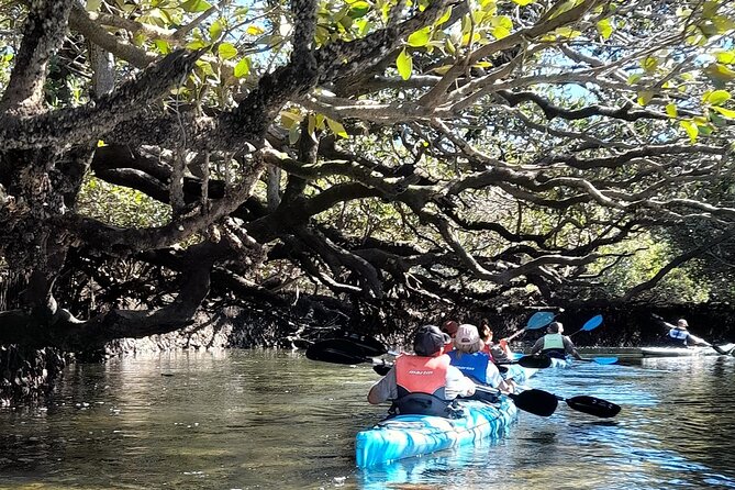 Dolphin Sanctuary Kayak Tour Adelaide - What to bring for a more comfortable morning