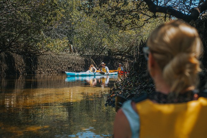 Dolphin Sanctuary Kayak Tour Adelaide - Who will get the best value from the $56.66 price