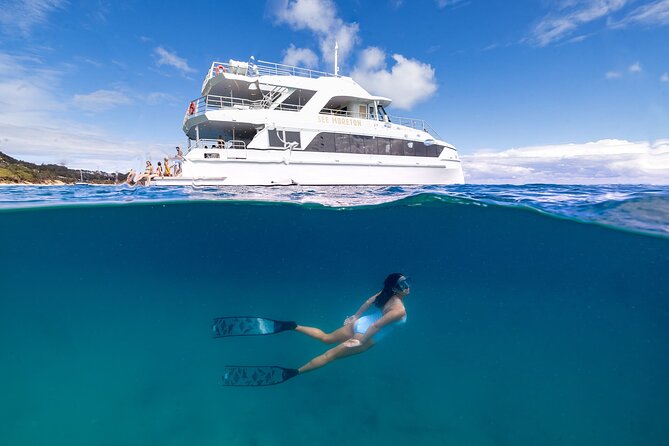 Dolphin & Tangalooma Wrecks Snorkel Cruise & Lunch - Brisbane - Key things to know before booking
