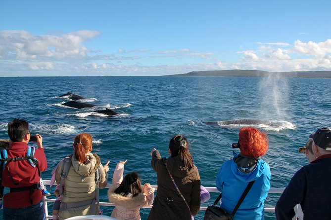 Dunsborough Whale Watching Eco Tour - Setting out from Quindalup for Geographe Bay
