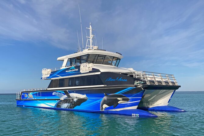 Dunsborough Whale Watching Eco Tour - The search for humpbacks, calves, and blue whales