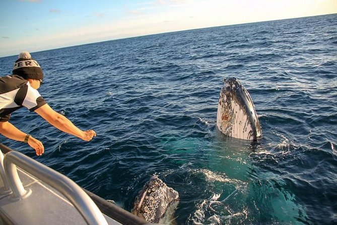 Dunsborough Whale Watching Eco Tour - Tea, biscuits, and a practical break from the wind