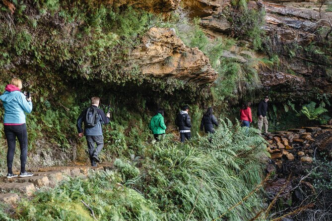 Exclusive Blue Mountains Wildlife and Bushwalk Tour From Sydney - Why this tour works for a first Blue Mountains day