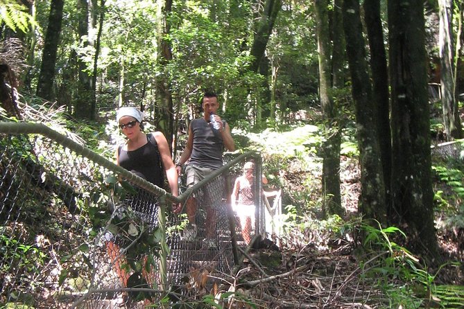 Exclusive Blue Mountains Wildlife and Bushwalk Tour From Sydney - A guide-led day with plenty of personality