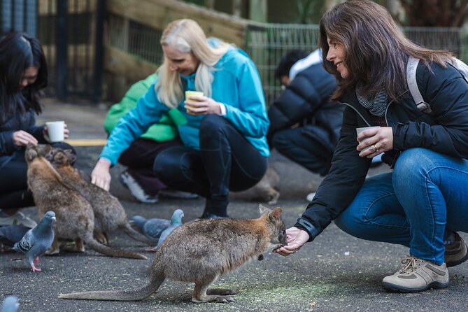 Exclusive Blue Mountains Wildlife and Bushwalk Tour From Sydney - Featherdale Wildlife Park: an easy start with plenty of Australian animals