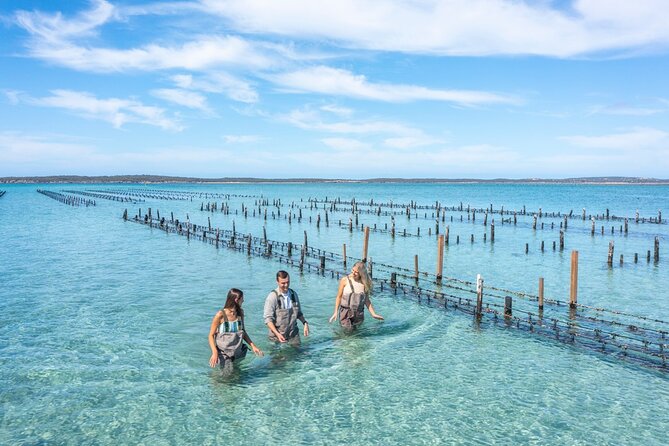 Experience Coffin Bay Oyster Farm and Bay Tour - Fresh oysters, shucked beside the boat