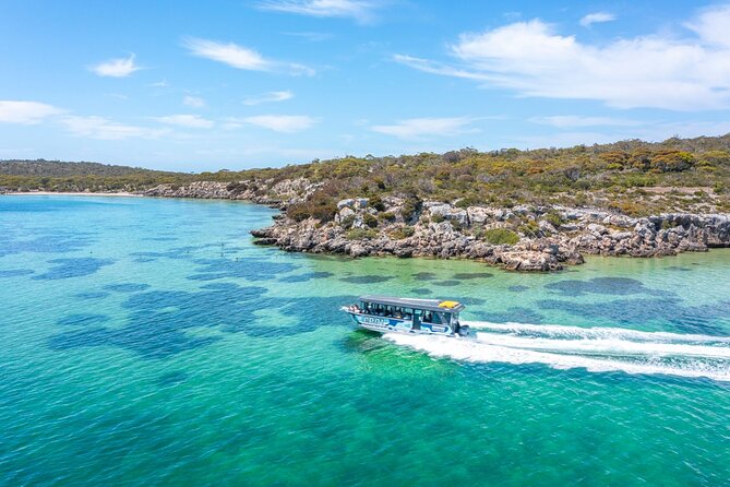 Experience Coffin Bay Oyster Farm and Bay Tour - Cruising the Coffin Bay waterways